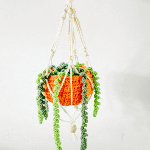 hang plant pattern