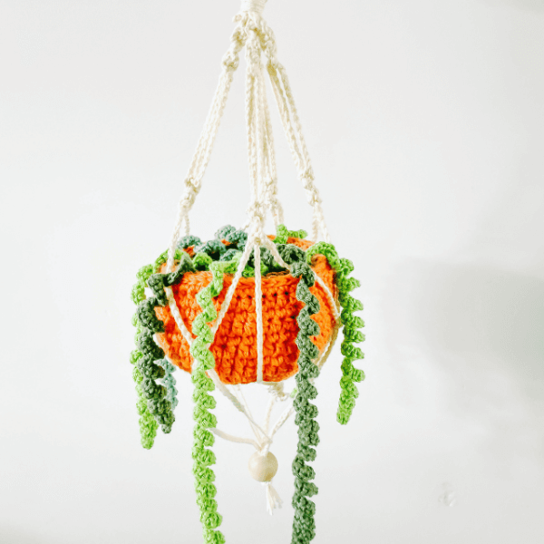 hang plant pattern