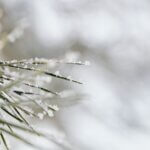 Leuke Haakprojecten voor de Winter