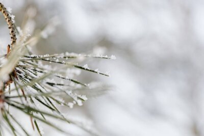 Leuke Haakprojecten voor de Winter