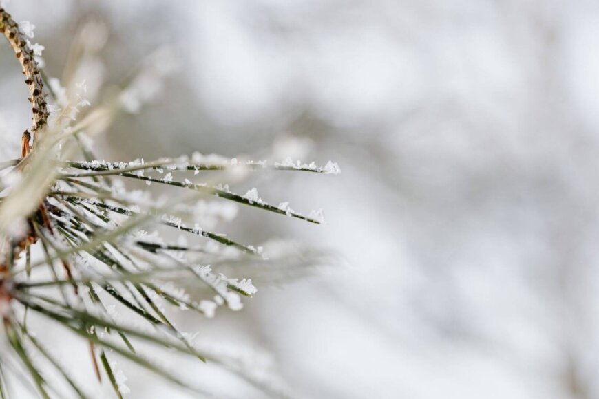 Leuke Haakprojecten voor de Winter